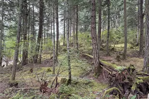 0 Diamond Hill Rd, Orcas Island, WA 98245 - Photo 1