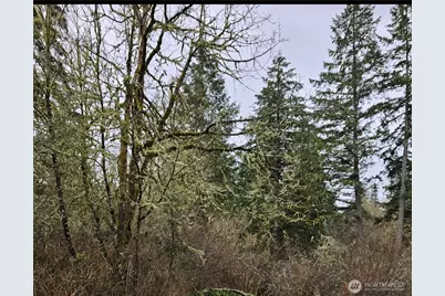 17109 18th Ave Ct S, Spanaway, WA 98387 - Photo 1