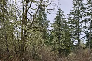 17109 18th Ave Ct S, Spanaway, WA 98387 - Photo 1