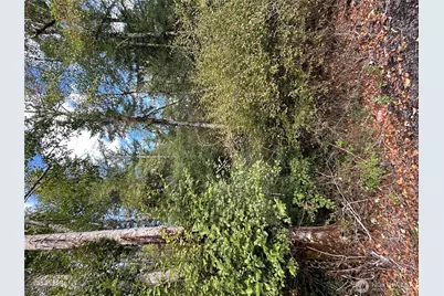 1331 E Grapeview Loop Road, Grapeview, WA 98546 - Photo 1