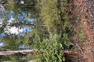 1331 E Grapeview Loop Rd, Grapeview, WA 98546 - Photo 1