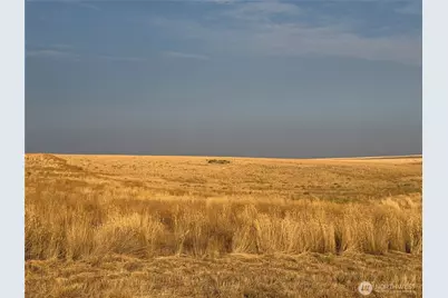 0 Tbd Road 11, Wilson Creek, WA 98832 - Photo 1