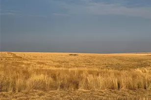 0 Tbd Road 11, Wilson Creek, WA 98832 - Photo 1