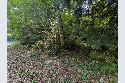 41664 N Shore Lane, Concrete, WA 98237 - Photo 1