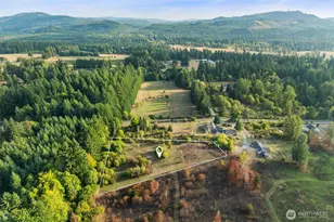 9944 138th Ave SE, Rainier, WA 98576 - Photo 1