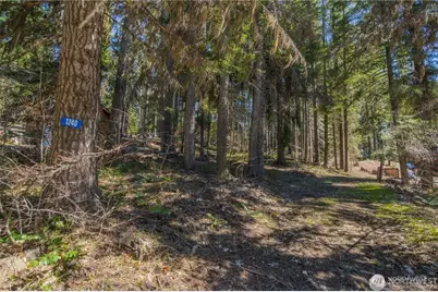 1240 Pineloch Sun Drive, Ronald, WA 98940 - Photo 1