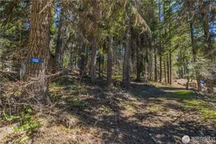 1240 Pineloch Sun Dr, Ronald, WA 98940 - Photo 1