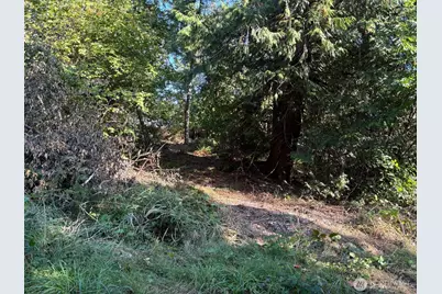 41 E Soundview Drive, Shelton, WA 98584 - Photo 1