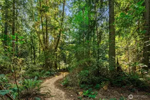 16114 121st Ave SW, Vashon, WA 98070 - Photo 1