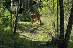 0 Hwy 20, Port Townsend, WA 98368 - Photo 1