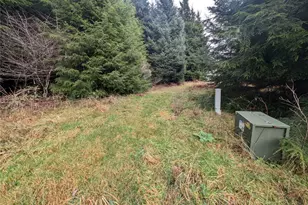 999 Green Rd, Forks, WA 98331 - Photo 1