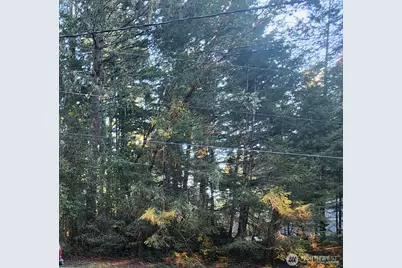 9309 114th Ave. Ct., Anderson Island, WA 98303 - Photo 1