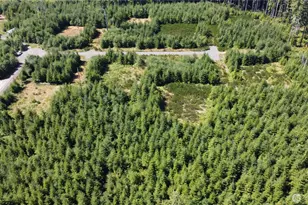 9999 King Johns- Lot 1 Crow Way, Forks, WA 98331 - Photo 1