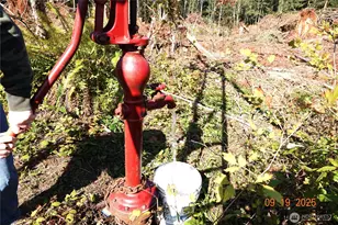 15829 456th St E, Eatonville, WA 98328 - Photo 1