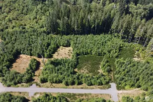 9999 King Johns-Lot 2 Raven Sp Way, Forks, WA 98331 - Photo 1