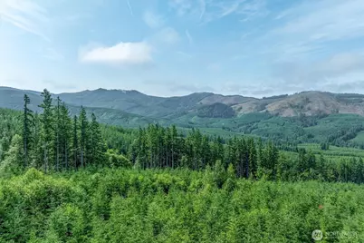 220 Wagner Road, Kelso, WA 98626 - Photo 1