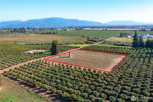 9919 Holmquist Rd, Lynden, WA 98264 - Photo 1