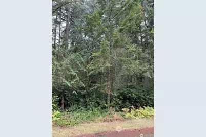 10508 Anchor Place, Anderson Island, WA 98303 - Photo 1