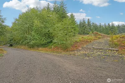 374 Bellwood Drive, Castle Rock, WA 98611 - Photo 1