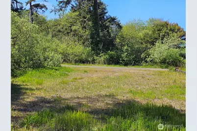 15 Cedar Lane, Pacific Beach, WA 98571 - Photo 1