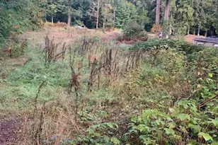 3539 278th Pl NE, Redmond, WA 98053 - Photo 1