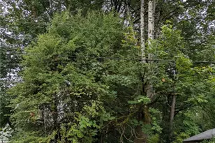 1717 McCormick St NE, Olympia, WA 98506 - Photo 1