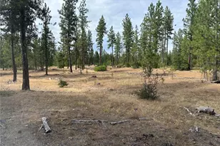 3 Greyback Mt Rd, Goldendale, WA 98620 - Photo 1