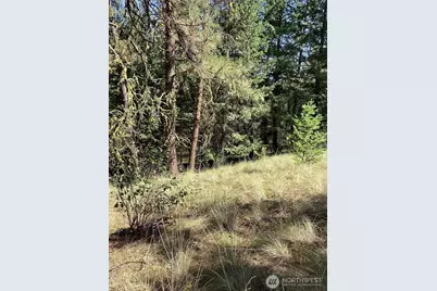 141 Lot Owl Road, Tonasket, WA 98855 - Photo 1