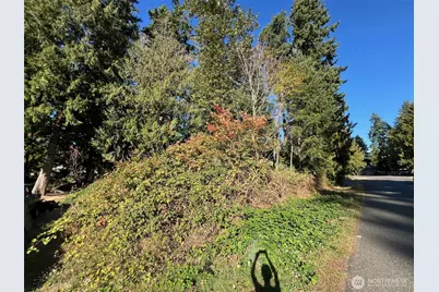 20404 97th Street E, Bonney Lake, WA 98391 - Photo 1