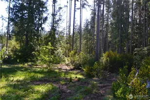 7975 Seabeck Hwy NW, Bremerton, WA 98312 - Photo 1