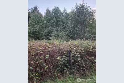 4828 Schwarzmiller Road, Lake Stevens, WA 98258 - Photo 1