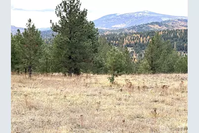 60 Buck Road, Oroville, WA 98844 - Photo 1