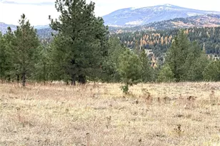 60 Buck Rd, Oroville, WA 98844 - Photo 1