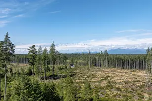 111 NE Ridgetop Ct, Belfair, WA 98528 - Photo 1