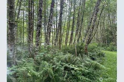 295 Oak Point Road, Longview, WA 98632 - Photo 1