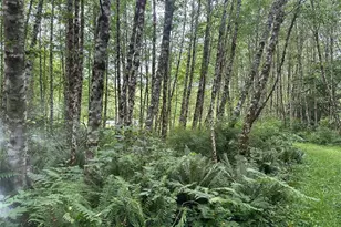 295 Oak Point Rd, Longview, WA 98632 - Photo 1