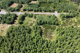 9999 King Johns Way Lot 4 Crow, Forks, WA 98331 - Photo 1