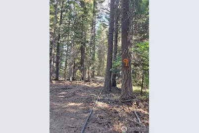 9 Double O Road, Ronald, WA 98940 - Photo 1