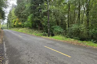 0 Nka Lund Rd, Cosmopolis, WA 98537 - Photo 1