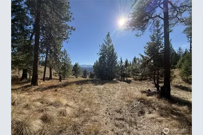 9999 Shade Tree Lane, Republic, WA 99166 - Photo 1