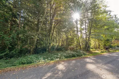 10611 Vantage Drive, Anderson Island, WA 98303 - Photo 1