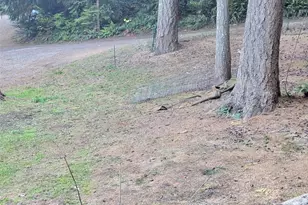 6130 NE Silver Springs Ln, Poulsbo, WA 98370 - Photo 1