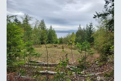 9999 Dusty Road, Brinnon, WA 98320 - Photo 1