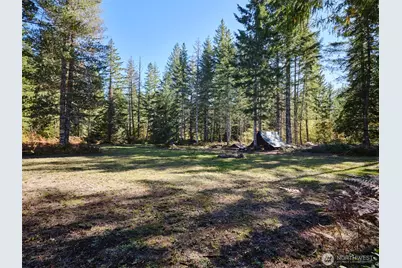 2 A Lahar Lane, Cougar, WA 98616 - Photo 1