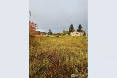 909 N 1st Street, Pe Ell, WA 98572 - Photo 1