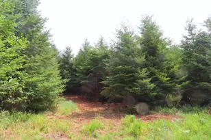 0 Lot B Mill Creek Ln, Longview, WA 98632 - Photo 1