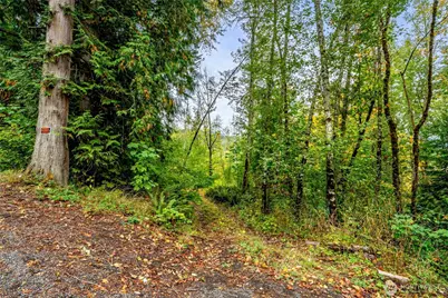 0 Mineral Hill Road, Mineral, WA 98356 - Photo 1