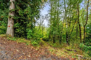 0 Mineral Hill Rd, Mineral, WA 98356 - Photo 1