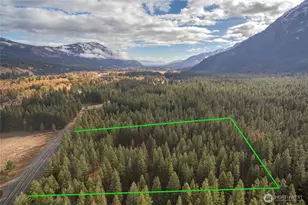 18164 Hwy 20, Winthrop, WA 98862 - Photo 1