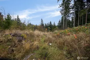 0 Xx 184th Ave E, Bonney Lake, WA 98391 - Photo 1